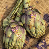 Boucles d'oreilles papillon violet à franges