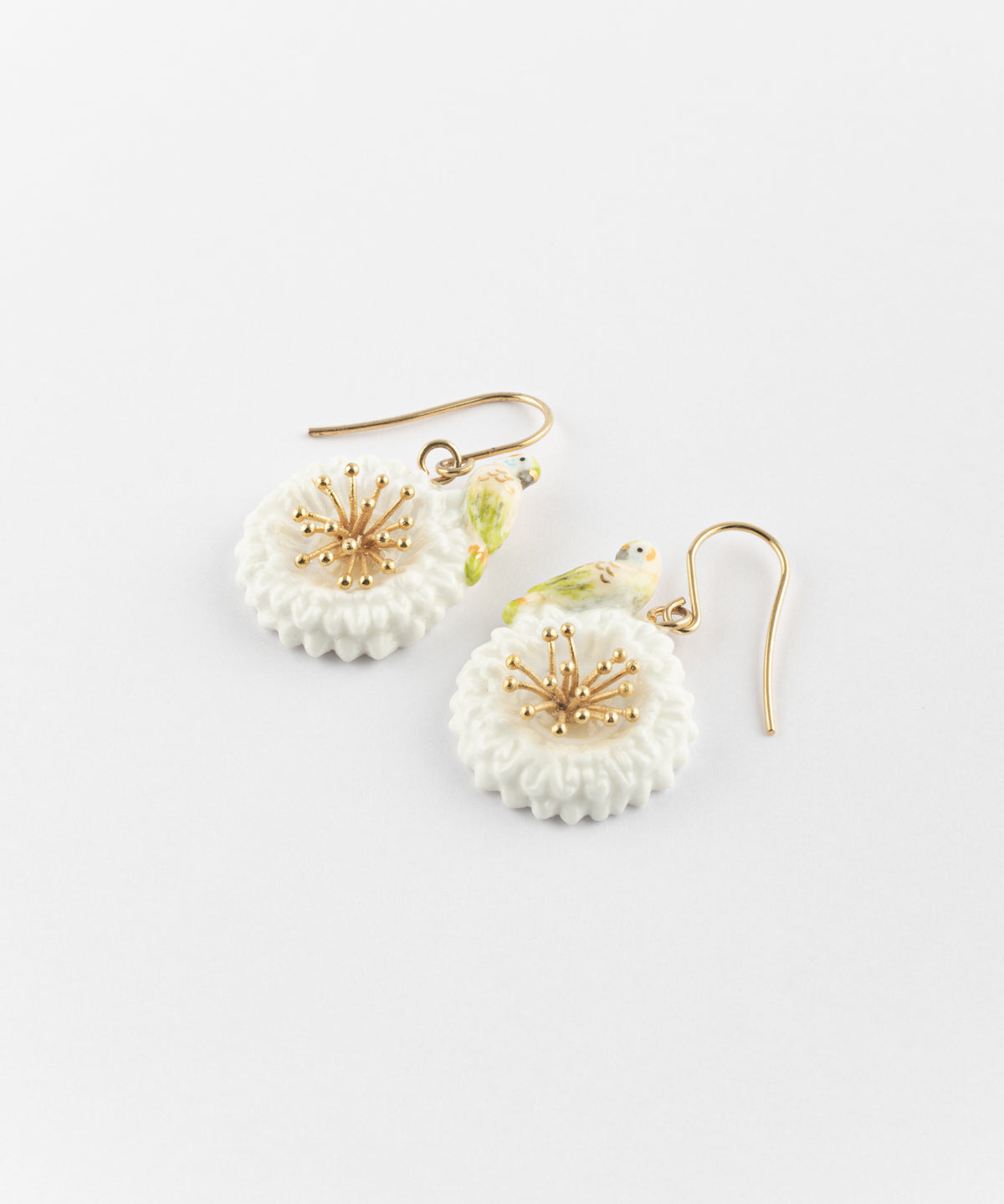 Boucles d'oreilles perruche sur pissenlit blanc