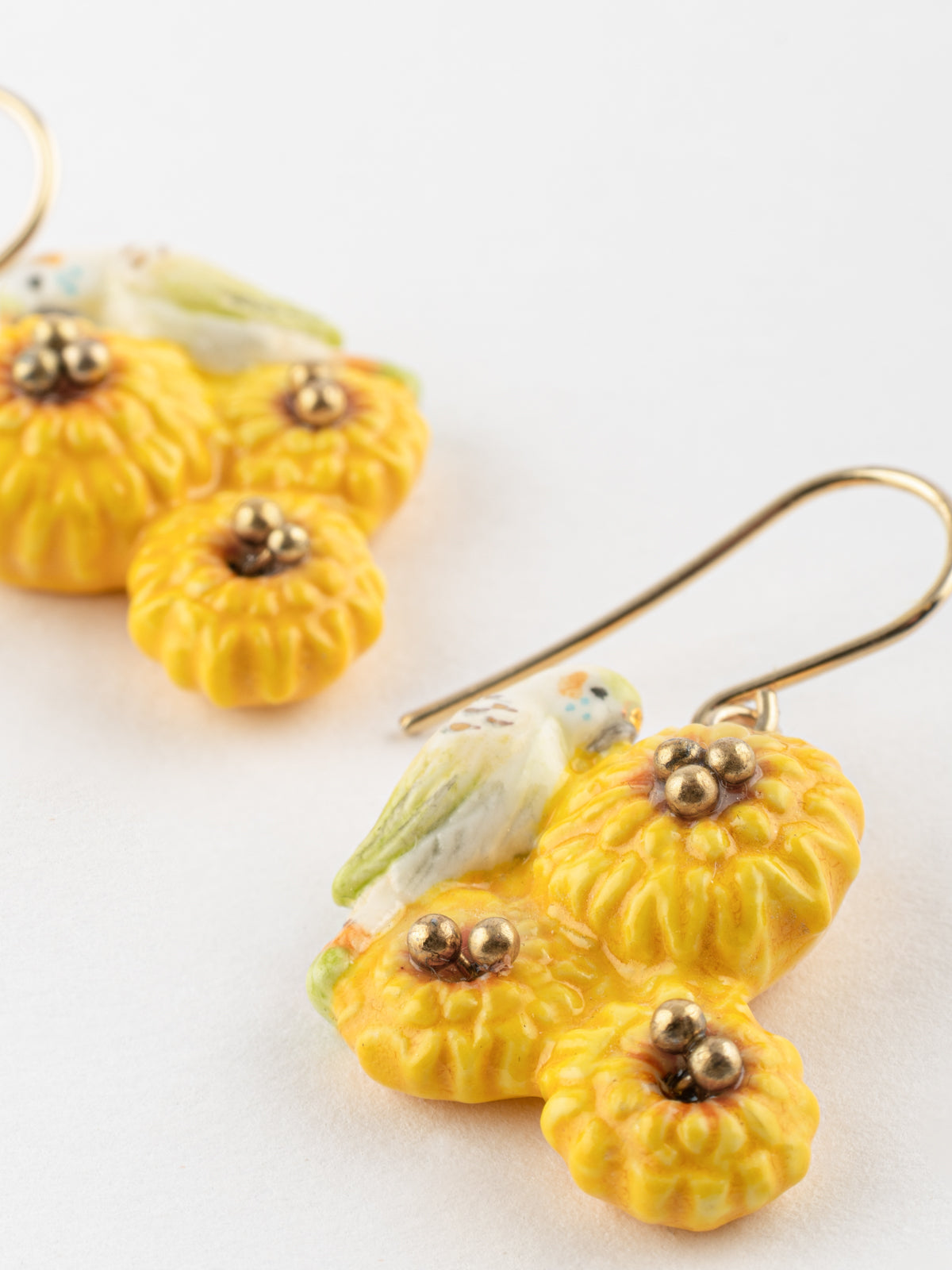 Boucles d'oreilles perruche sur pissenlits jaunes