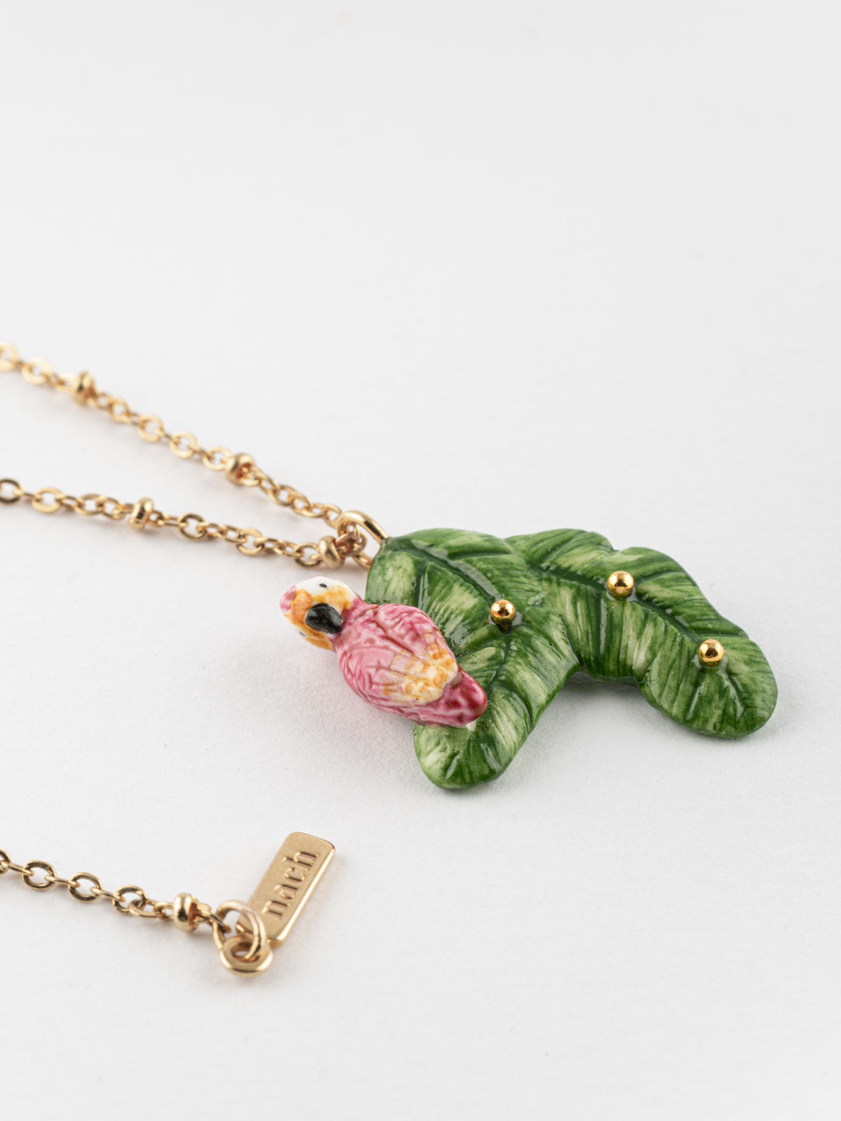 Collier cacatoès sur feuilles de bananier