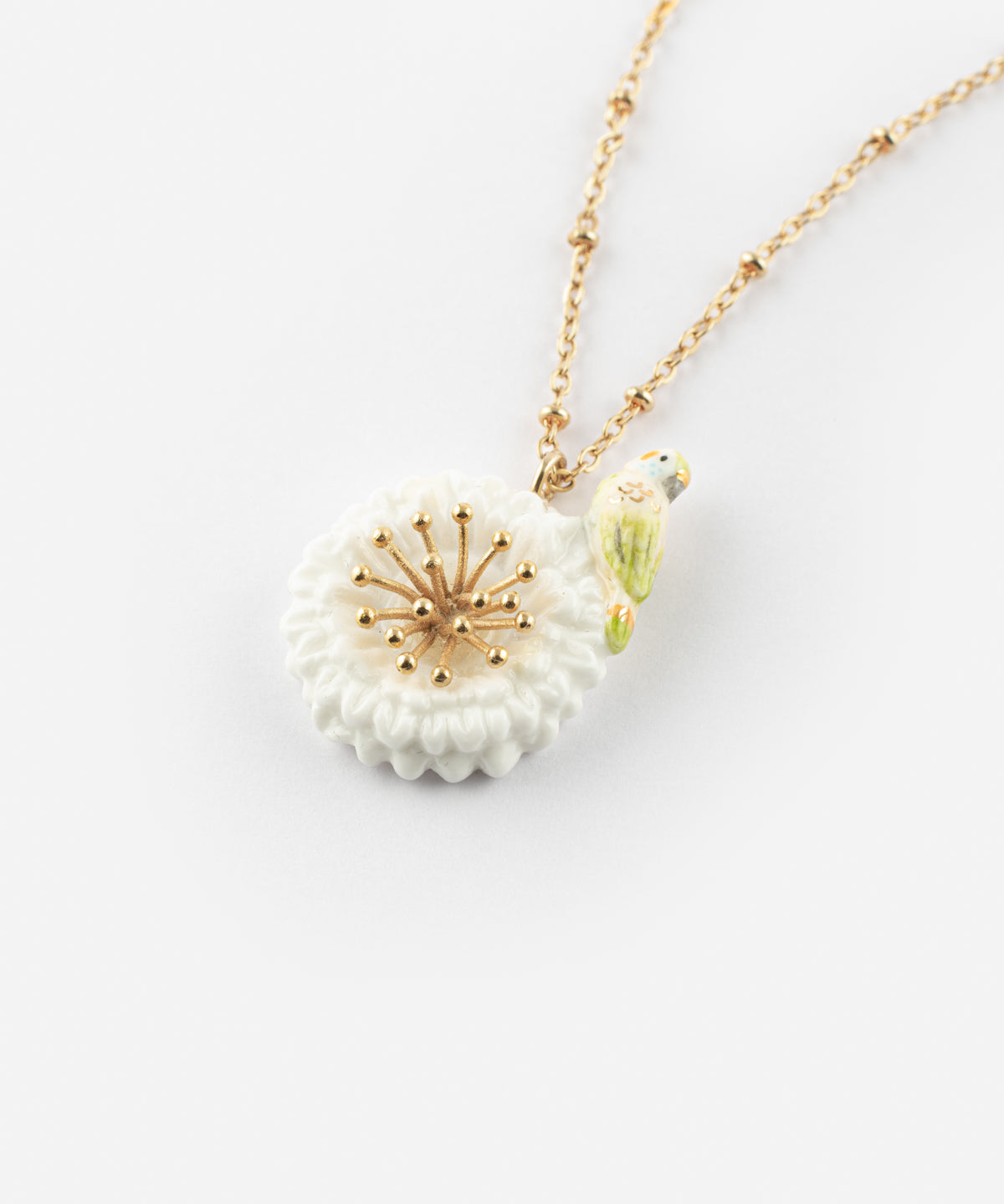 Collier perruche sur pissenlit blanc