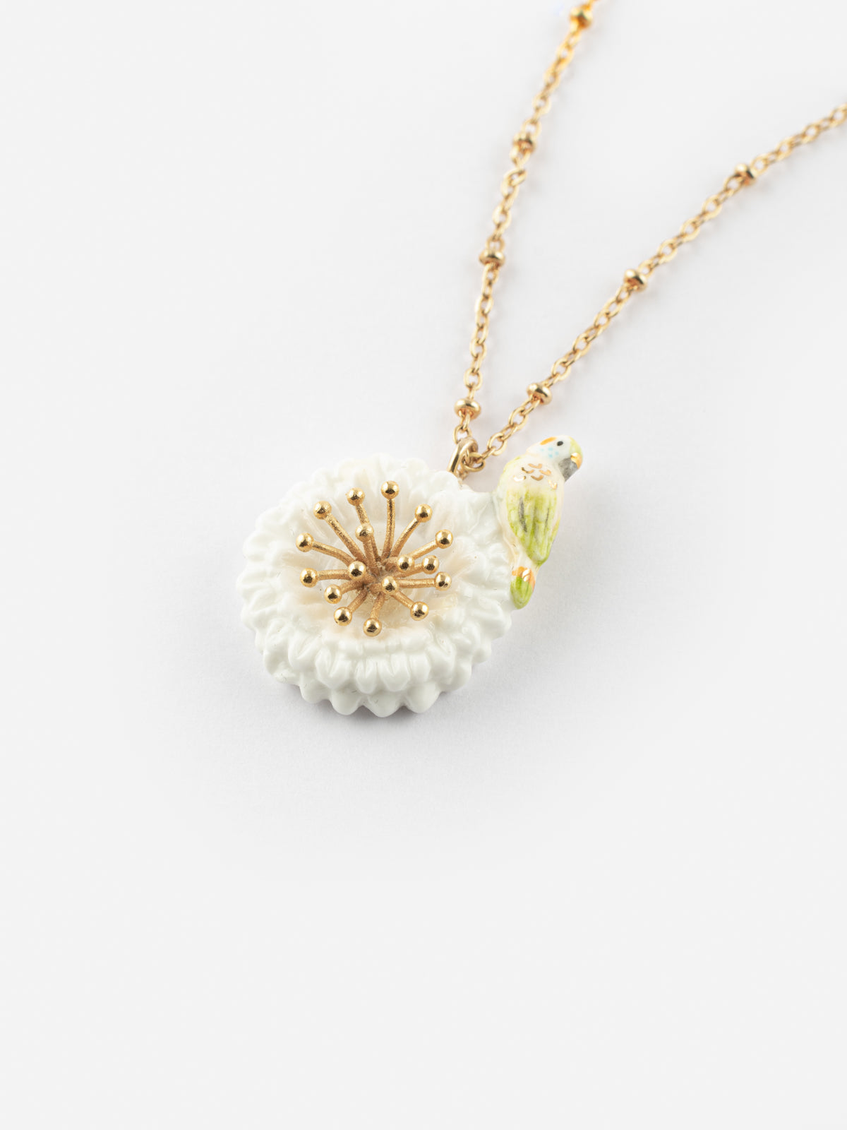 Collier perruche sur pissenlit blanc