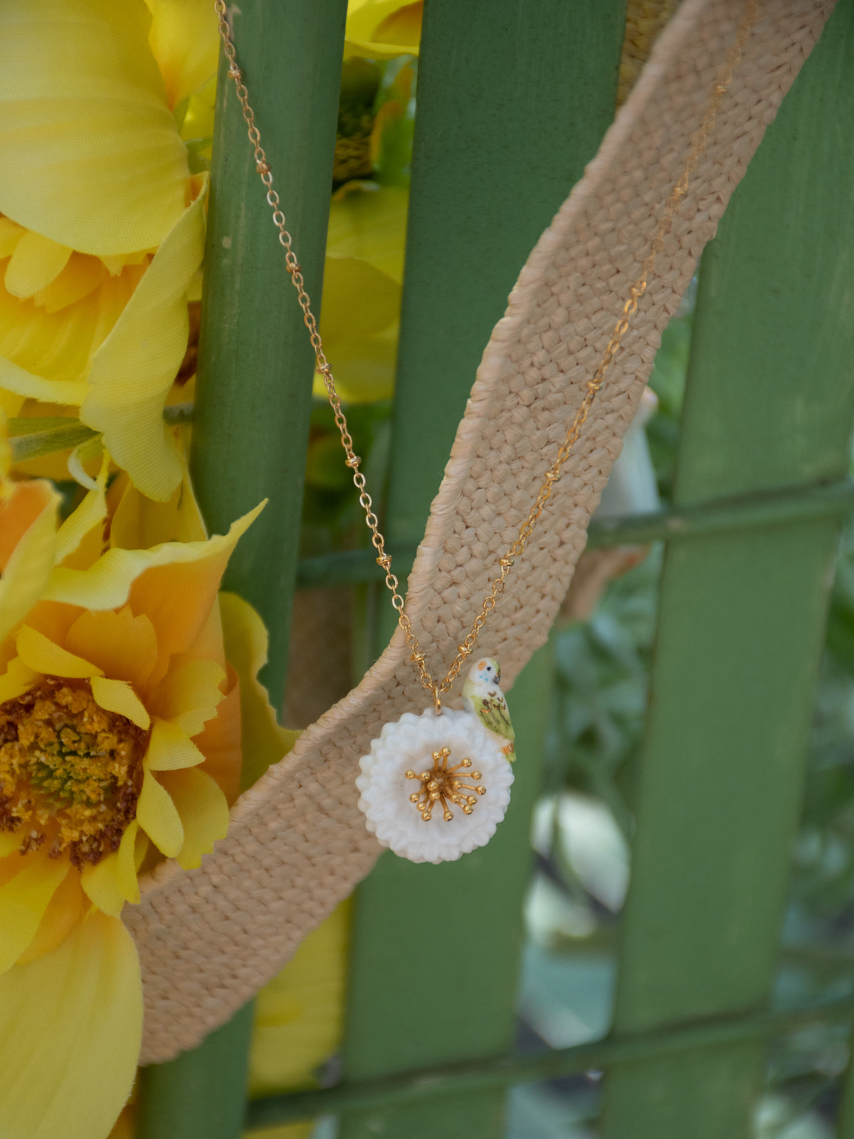 Collier perruche sur pissenlit blanc