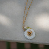 Collier perruche sur pissenlit blanc