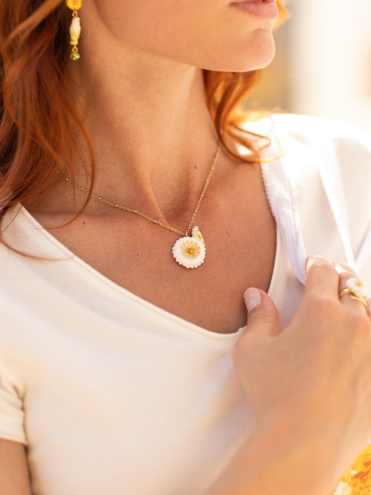 Collier perruche sur pissenlit blanc