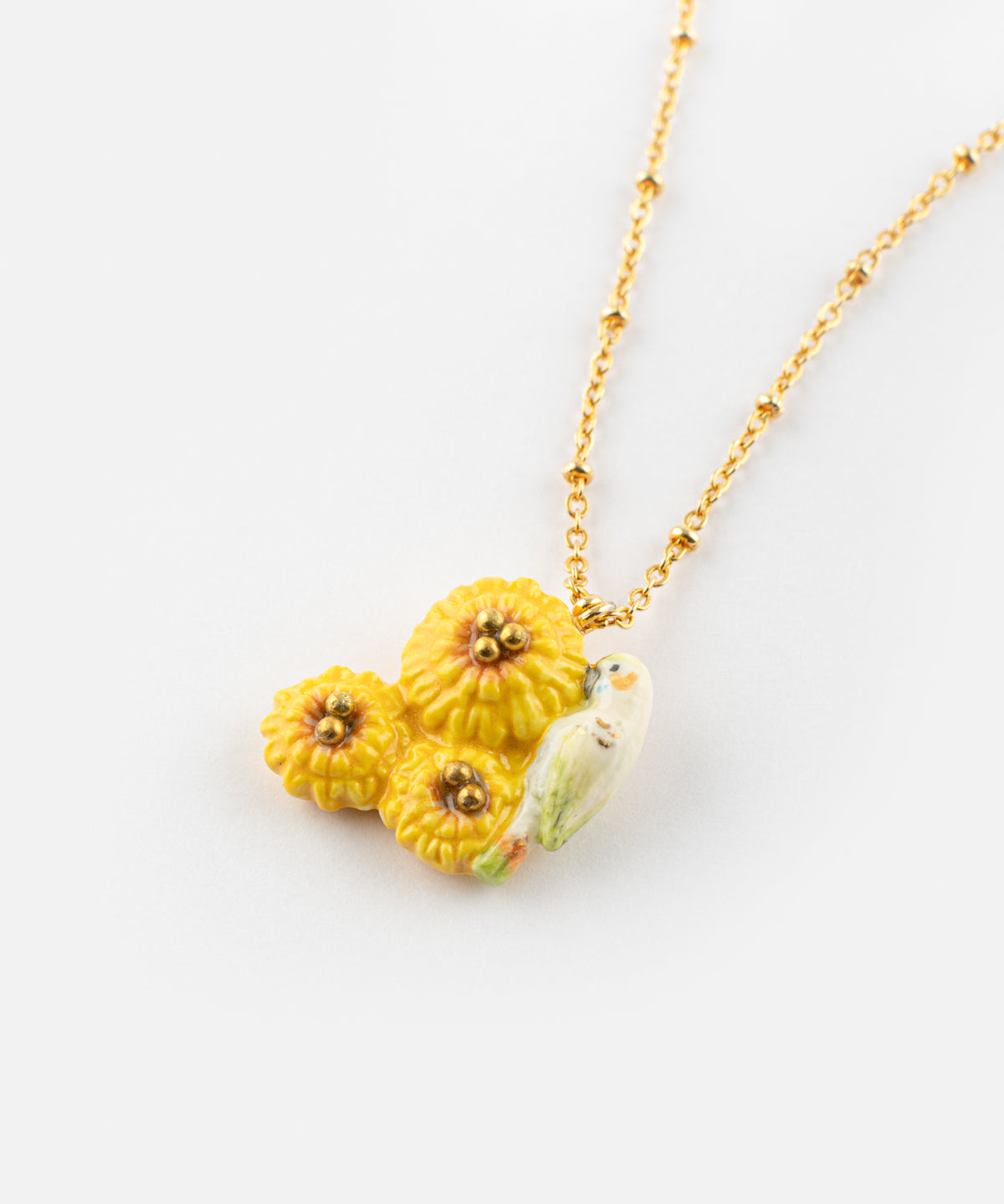 Collier perruche sur pissenlits jaunes