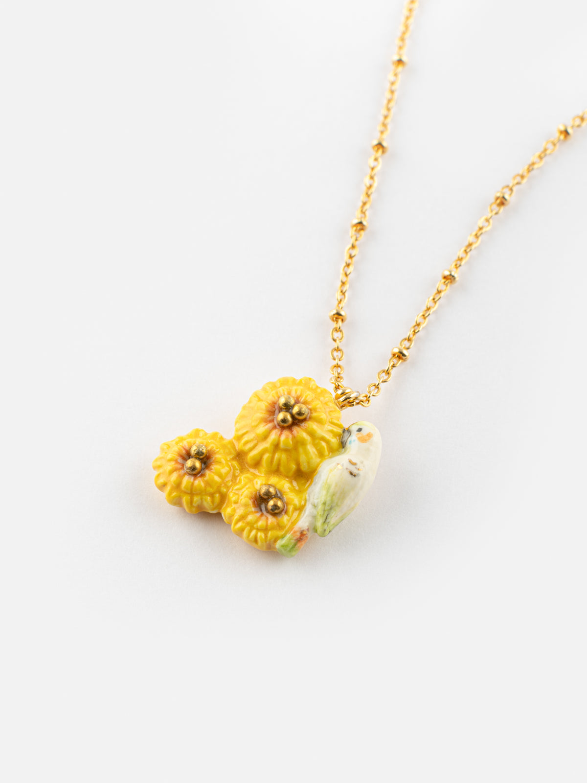 Collier perruche sur pissenlits jaunes