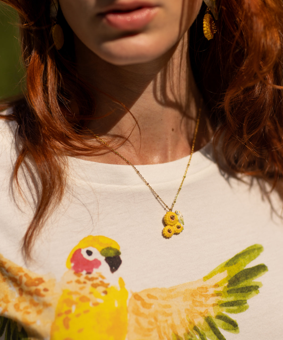 Collier perruche sur pissenlits jaunes