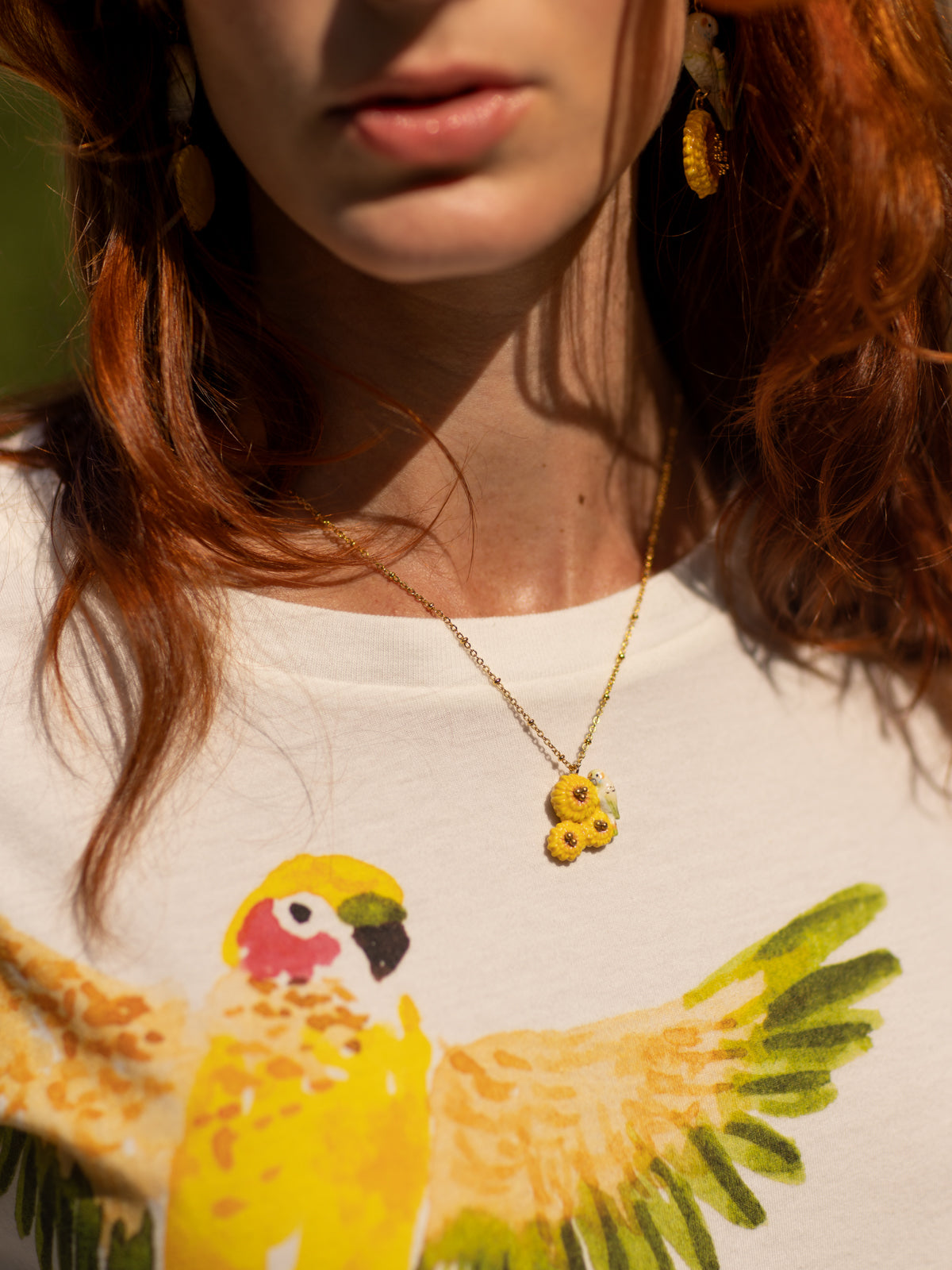 Collier perruche sur pissenlits jaunes