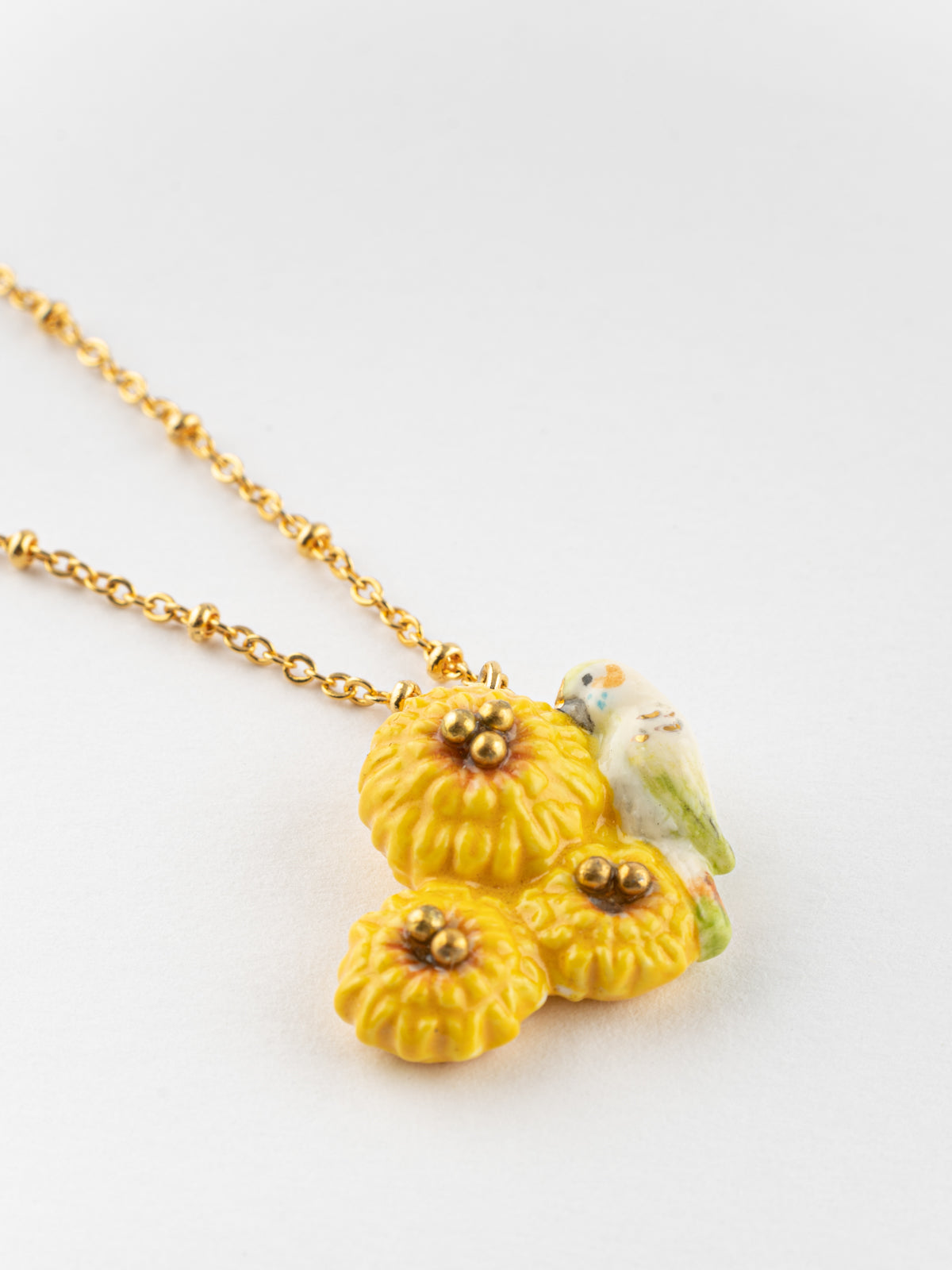 Collier perruche sur pissenlits jaunes