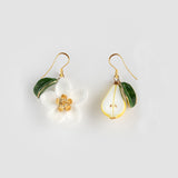 Boucles d'oreilles fleur de poirier, poire & feuille