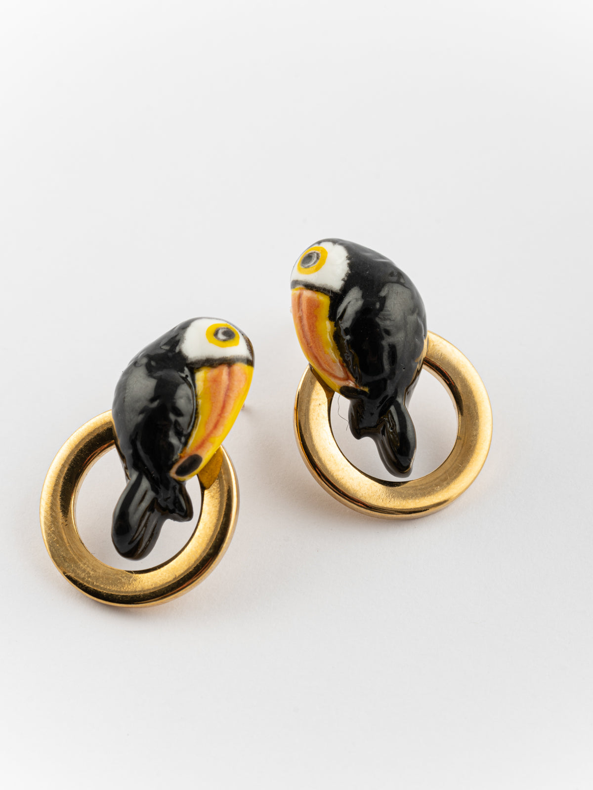 Puces d'oreilles toucan