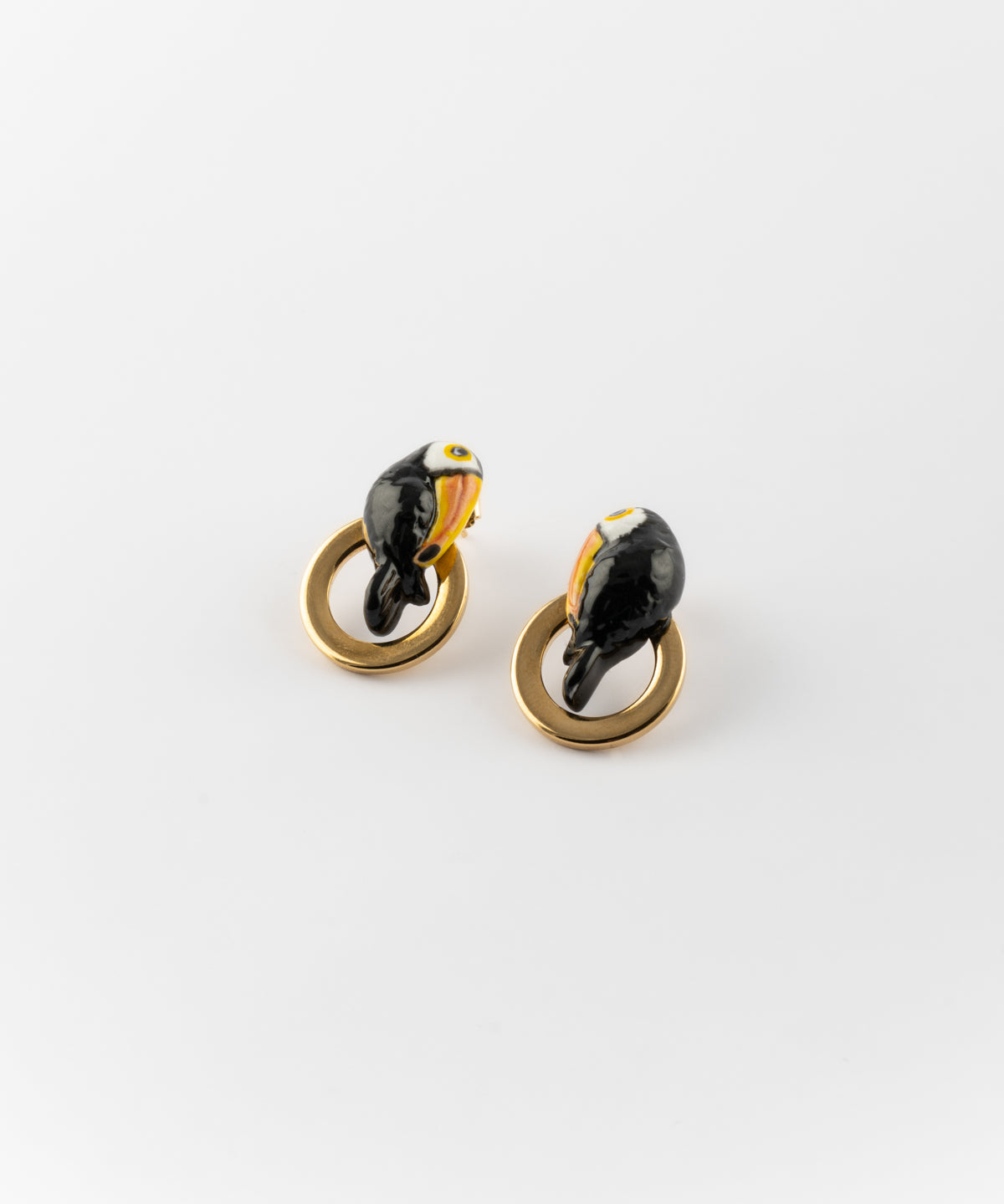 Puces d'oreilles toucan